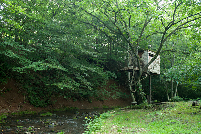 main280 非日常的な空間で自然と対話する “茶室”的のようなツリーハウス