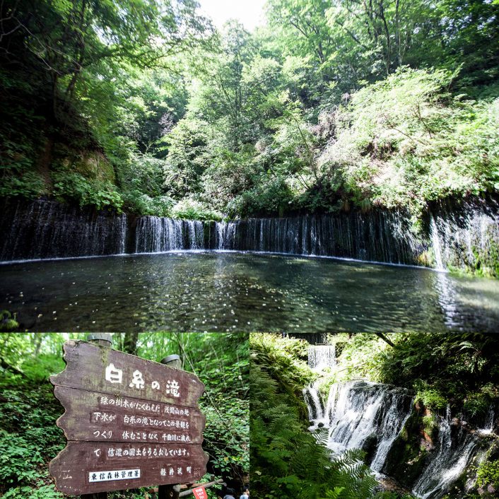 IMG_91622-706x706 注目スポット『Amici Adventure Karuizawa アミーチアドベンチャー軽井沢』で、日常では体験できない木の上でのアスレチックにチャレンジ！
