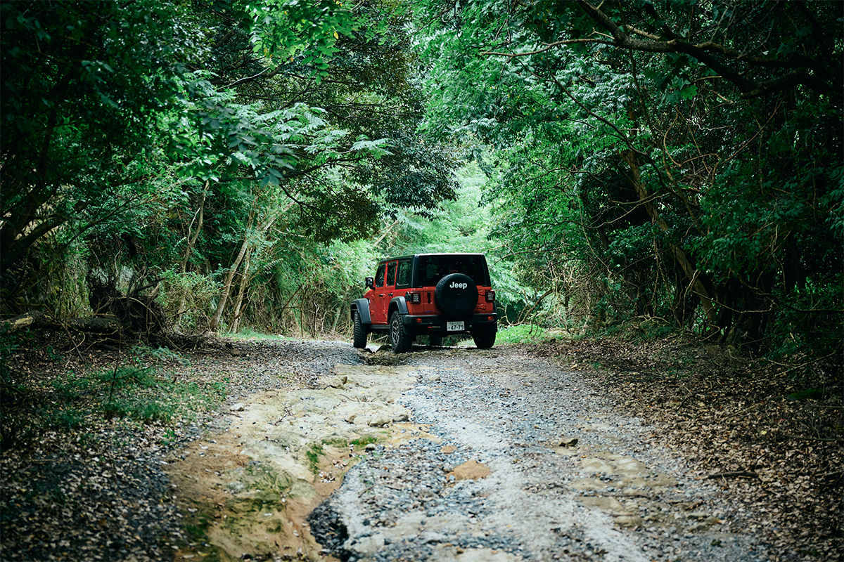 20240709_jeep-0007 ⽬指せ“Real Photo Contest”優秀作品！Jeepが映える写真と撮影テクニック