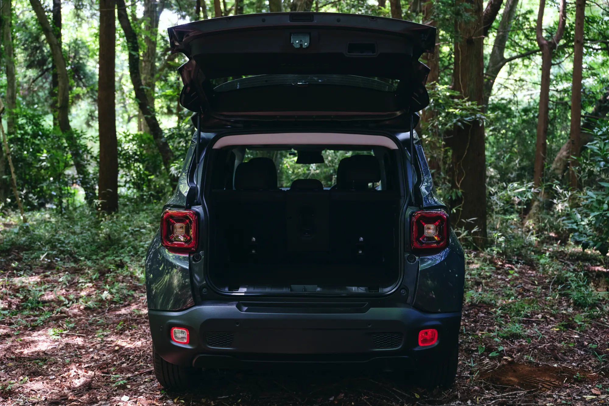 DSF7007 【Jeepモデル別・積載企画】Jeep Renegade e-Hybridで行くキャンプを人気スタイリスト・平健一がレクチャー