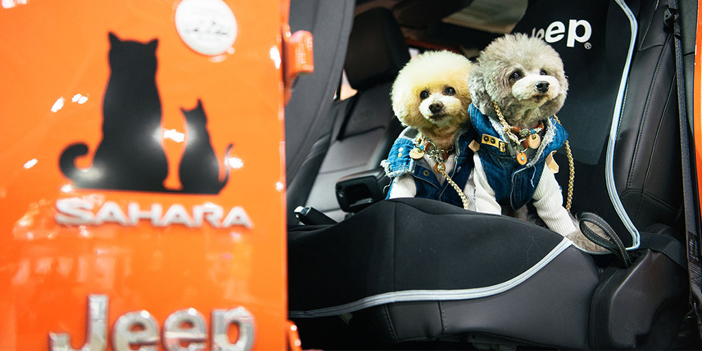 2023年・ペット特集】愛犬家のJeepオーナー必見！ペットと行くドライブ